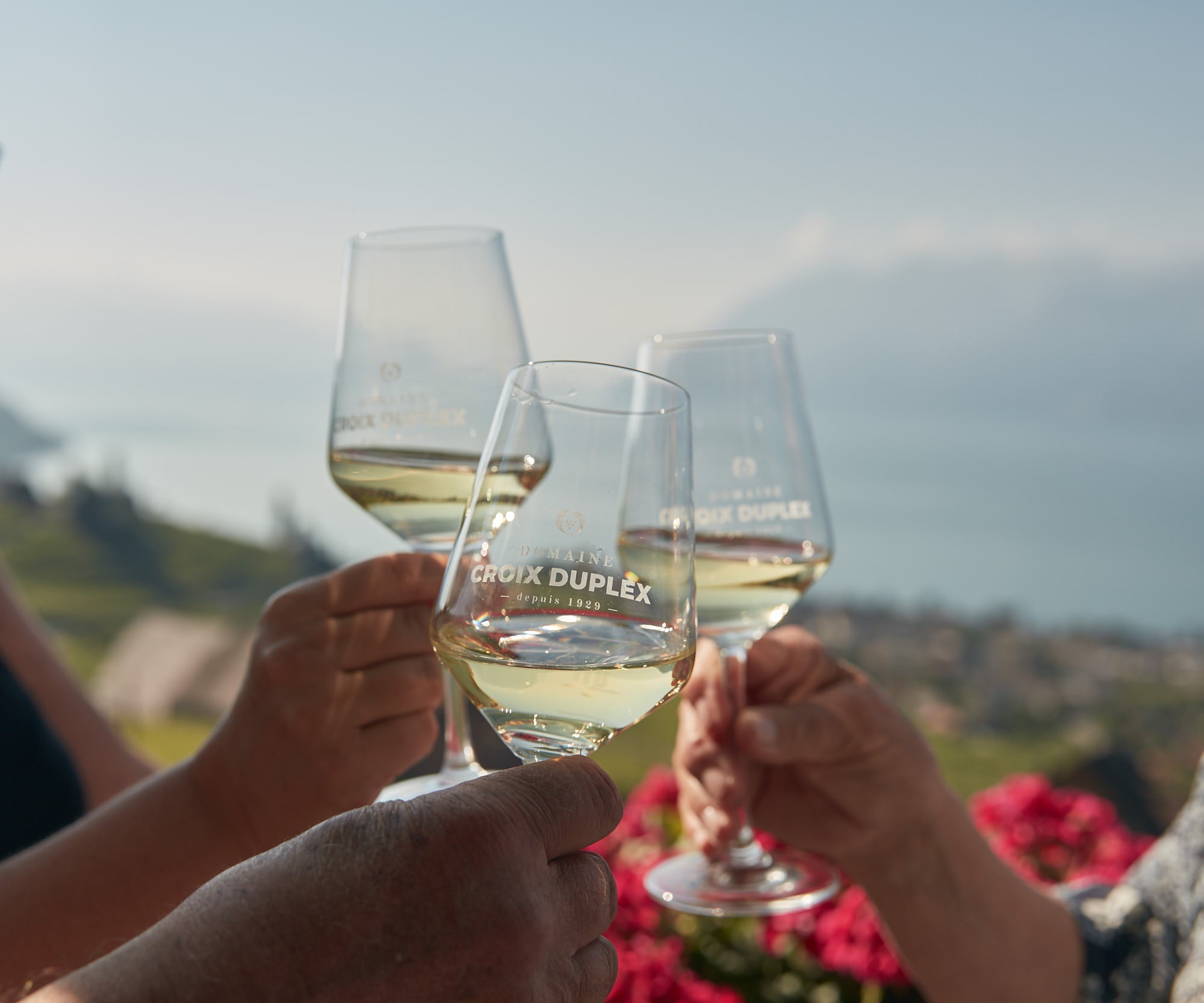 Sunset, Wine & Groove